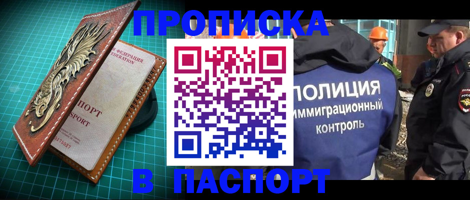 где прописаться в Дмитрове